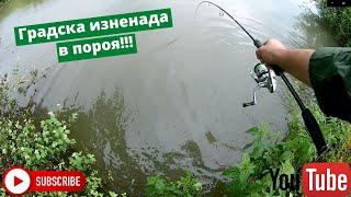 Градска изненада в пороя / Urban fishing in the rain