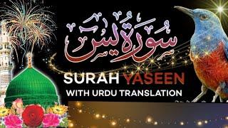 Surah Yasin (Yaseen( سورة يس| Wonderful Relaxing HeartTouching Voice | Dil ka Sukun 12