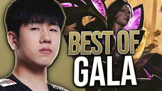 GALA "BEST AD CARRY" Montage | Best of GALA