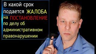 Многие еще путаются! Срок на обжалование постановления по делу об административном правонарушении