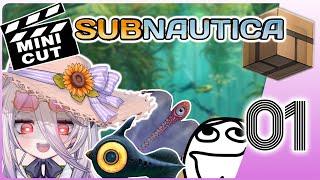 Henya - Subnautica Highlights (Part 1)