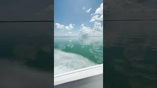 BOAT DAY | Walking on Water  #keywest #boatday #short