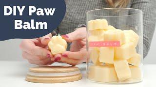 How to make soothing paw balm for your dog | Easy DIY tutorial