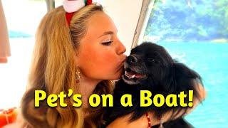 Life onboard with pets