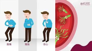 Helicobacter Pylori 101: 幽门螺旋杆菌 (Helicobacter Pylori, H. Pylori) 会导致胃癌吗？ | GUTCARE