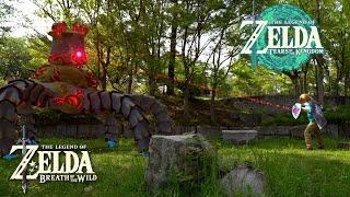 The Legend of Zelda TotK BotW In Real Life