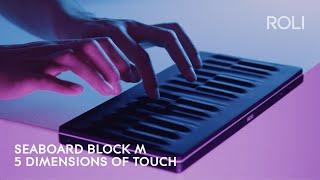 Seaboard BLOCK M:  Discover 5 Dimensions of Touch. Anywhere.