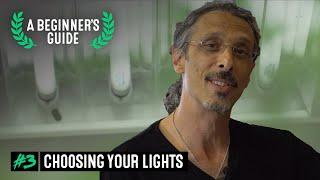 Cannabis Grow Lights Guide - A Beginner's Guide with Kyle Kushman #3