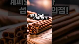 계피의 효능과 섭취시 유의점!