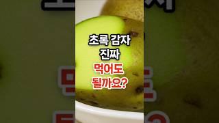 초록 감자 먹어도 되나요? #건강 #건강정보 #건강상식