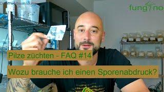 Pilze züchten - Wozu brauche ich einen Sporenabdruck? Pilzzucht FAQ #14