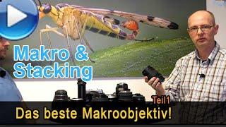 Das beste Makroobjektiv, Teil 1 - Makro & Stacking