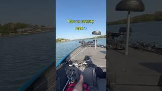 How to correct identify FISH! #fishing #shorts