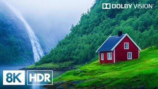 Spectacular Green Planet in 8K HDR | Dolby Vision™