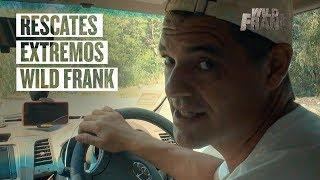 Los rescates de animales más tensos de Wild Frank | Wild Frank