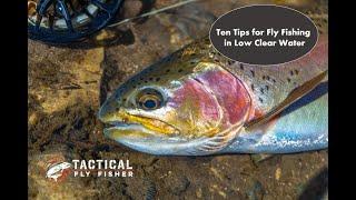 Ten Tips for Fly Fishing in Low Clear Water