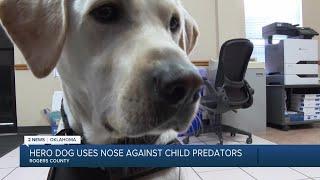 HERO DOG: Oklahoma dog uses nose to convict child predators