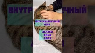 Внутримышечный укол  делаем дома сами