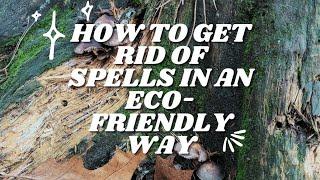 How to Dispose of Spells and Offerings in an Eco-Friendly Way