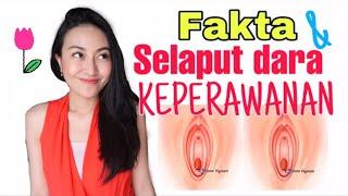 SELAPUT DARA & KEPERAWANAN | Clarin Hayes