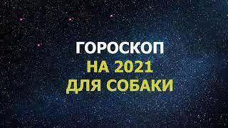 Гороскоп на 2021 год для Собаки