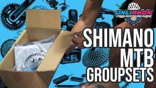 Shimano MTB Groupsets Price & Hierarchy