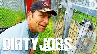 Mike Rowe’s Exotic Animal Adventure in Texas | Dirty Jobs | Discovery