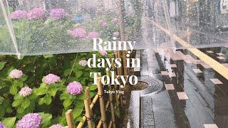 Rainy days in Tokyo | chill week | living alone | working from home in Japan |Tokyo Vlog