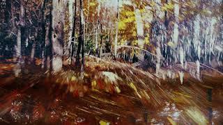 "Ovest" - Alessandro Cortini (A Film by Sean Curtis Patrick