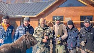 Братья приехали и хутор превратился в усадьбу.Снесли старый сарай и построили новый.Рождение поросят