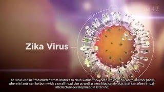 Random42 Science in Motion - Zika Virus