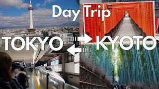 Day Trip by Shinkansen to Explore Kyoto - How Much Can You Do in One Day?