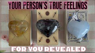 Your Person's True Feelings For You Now Timeless pick a card love reading