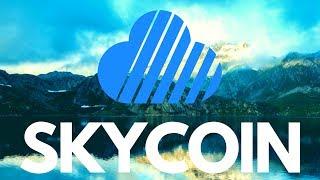 10 Skycoin Facts! The Good, The Bad and The Ugly