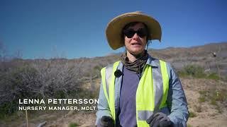 Saving the Unique and Exquisite California Desert for an Uncertain Future - Seed by Seed #MDLT #mbca