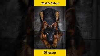 World Oldest Dinosaur || दुनिया का सबसे पूराना डायनासोर || #factworldshorts #amazingfacts #facts