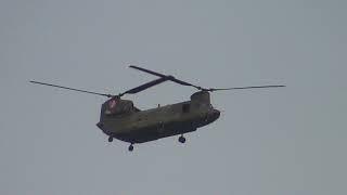 Boeing CH-47D Chinook D-101 298 Squadron RNLAF