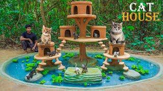 Rescued Kitten Building Tree House for Cat and Fish Pond for Red fish
