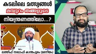 മീൻ ബൈത്തും മമ്പുറം തങ്ങളുടെ പേരിലുള്ള മീൻ തള്ളും