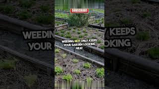 Celebrate National Weed Your Garden Day! #viralvideo #trending #usa #history #facts #shorts