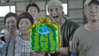 Square Watermelon Farming  ONLY in JAPAN