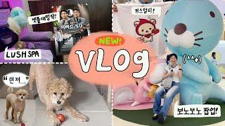 이 영상을 보면 당신은 유행 백수저입니다(?) 유행하고 새로운 것만 잔뜩 해버리는 자취생 vlog | 러쉬스파,흑백요리사, 유니클로커스텀티, 보노보노팝업,하츄핑랜덤,스웨덴젤리