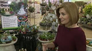 Creating your own mini garden with Pike Nurseries