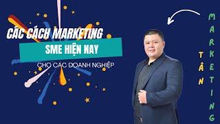 Các cách marketing cho các doanh nghiệp SME hiện nay | Tân Marketing