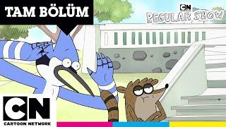 SÜREKLİ DİZİ | Maellard'ın Paketi | TAM BÖLÜM | @cartoonnetworkturkiye