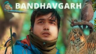 Bandhavgarh Safari | Thrilling Tiger Search Adventure in Khitauli Zone | EP 1