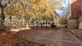 Parc National d'Ifrane, Michlifen, Jbel hebri   المنتزه الوطني لإفران، مشليفن، جبل هبري