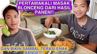 PERTAMA KALI MASAK BLONCENG DARI HASIL PANEN SENDIRI !! DAN BIKIN SAMBAL TERASI ENAK BANGET !!