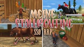 Meine Stallroutine // SSO RRP // Nadine Wiselock