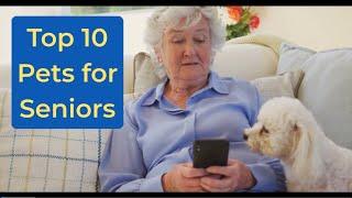 Top 10 Pets for Seniors  Finding the Perfect Companion for Your Golden Years